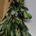 Waipfaru Faux Olive Branches for Vases, Olive Tree Branches with Lifelike Olives, Artificial Greenery Stems Decor for Centerpieces Floral Arrangements Vases (3Pcs, 18 Inch)