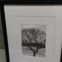 Egofine 11x14 Picture Frame Black - Photo Frame Made of Solid Wood Covered by Plexiglass for Table Top Display Pictures 5x7/8x10 with Mat or 11x14 Without Mat with Wall Mounting Hardware