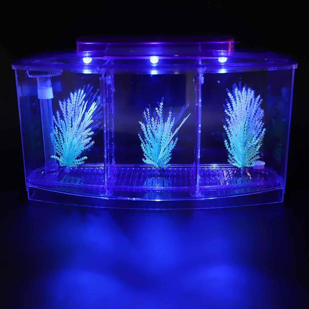 Aquarium Fish Tank Led Light Kid Friendly Small Fish Tanks Three Divisions Breeding Isolation Mini Aquarium komplettset LED Acrylic Box Betta Tank for Small Fishes(Purple)