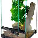Woyrise Reptile Glass Terrarium Tank 8"x8"x12", Front & Top Opening Door Full View Visually Appealing Mini Reptile or Amphibians Habitat, Stackable Vertical Enclousure for Small Reptiles