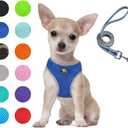 Puppy Harness and Leash Set- XS and Small Dog Harness- Soft Mesh Halter- Adjustable Reflective Teacup Dog Harness- No Pull No Choke (XS, Blue)