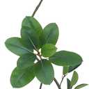 Artificial Rubber Tree 6FT, Tall Faux Rubber Plant with Realistic Trunk, Indoor Floor Artificial Tree for Living Room, Home, Office (Green)