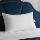 Goose Down Pillow for Sleeping, Hotel Quality 750 Fill Power Queen Size Pillow with Pillowcase - Bed Pillow for Master Bedroom, Support for Back, Side, Stomach Sleepers, 1 Pack, 20x30 Inch