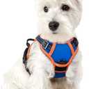 rabbitgoo Dog Harness No Pull with 2 Leash Clips, Adjustable Soft Padded, Reflective Oxford No Choke Pet Vest with Easy Control Handle for Puppy, Blue & Orange, XS