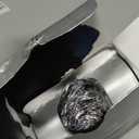 Pilot Iroshizuku Fountain Pen Ink  50 ml Bottle  Take-sumi (Gray Black) (Japan Import), Black (1.7 fl oz)