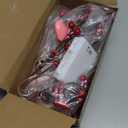 DR.DUDU Valentines Garland, 6 FT Lighted Garlands for Mantle with Heart Lights Pink Feather Red Berry, Pre-lit Valentine Decorations for Fireplace Indoor Outdoor Home Table Party Wedding