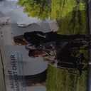 Medline Ultra Lightweight Transport Wheelchair for Adults, Foldable, 19-Inch Seat Width, Red Frame, Black Upholstery