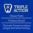 Pedigree Dentastix Large Dog Treats, Original, Beef & Fresh, 2.73 lb. Variety Pack (51 Treats Total)