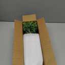 Artificial Eucalyptus Stems in Glass Vase with Faux Water, 14.57" Small Fake Plants Eucalyptus Leaves for Centerpiece Table Bathroom Farmhouse Shelf Kitchen Office Home Faux Greenery Decor