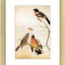 3x5 Picture Frame, Brass Metal Photo Frames with HD Glass, Fits 2x3 with Mat or 3 x 5 without Mat, Display for Wall and Table, 1 Pack