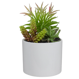 Northlight 9" Artificial Succulent Arrangement in White Ceramic Pot