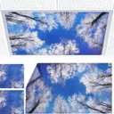 2pcs Fluorescent Light Covers - Light Covers for Ceiling Lights Classroom, Magnetic Light Filters for Office, Hospitals, Home 4 x 2 Feet (winter)