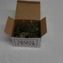 SEEKO Succulents Artificial Succulent - 14pc Assorted Premium Faux Fake Succulents with Realistic Texture