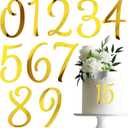 10 PCS Acrylic Side Insert Cake Topper Gold 0 to 9 Numbers Cake Decor for Weddings Birthday Parties Decoration Supplies