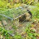 Animal Trap Cage Pigeon Squirrel Racoon Outside Trapping Live Small Animal Bird Trap Cage
