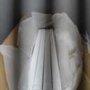 LZRS Extra-Wide Clear Dog Gate for Indoor Use - Transparent Pet Fence with Solid Hardwood and Plastic Board, Stylish & Durable freestanding Pet Gate for Doorways, Stairs and Hallways-4 Panel White