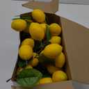 6 Pcs Artificial Lemon Garland 20 Inch Summer Lemon Fruit Vine with Green Leaves Fake Hanging Plants Greenery Decor for Home Garden Door Wall Mantle Wedding Party Table Decoration
