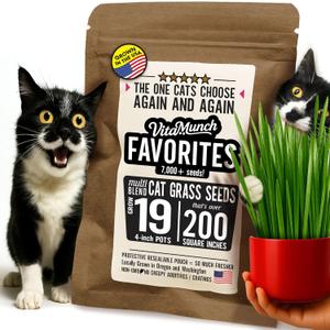 Cat Grass Seed Favorites Non-GMO Wild Native Blend Chosen by Most Kitties+Grows 19 Pots (200 Sq in) in 5 Days So Fresh It Sprouts Faster (Just Packaged) Trusted by Vets for Indoor Cats 7000+ Seeds