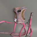 GAMUDA Small Dog Harness Collar and Leash Set, Step in No Chock No Pull Soft Mesh Adjustable Dog Vest Harnesses Plaid Reflective for Dogs Puppy Cats Kitten Rabbit (Pink, S)