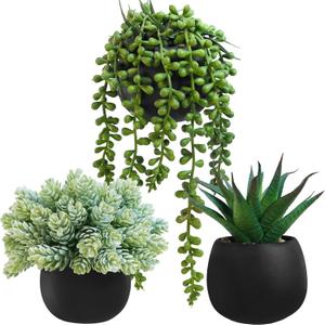Winlyn Set of 3 Artificial Succulent Plants in Black Concrete Pots Faux Aloe Hops String of Pearls Potted Plants Small Fake Plants Desk Plants for Home Office Desk Kitchen Bathroom Shelf Windowsill