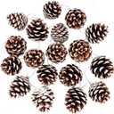 18 Pcs Christmas Pinecones Ornaments Rustic Pine Cones Hanging with String Pinecone Christmas Tree Decorations for Farmhouse Christmas Wedding Fall Party Wreath Centerpiece DIY Crafts (White)