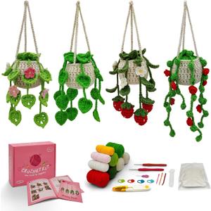 SGIBYN Crochet Kit for Beginners with Step-by-Step Video Tutorials,Beginners Starter Crochet Succulent Plant Kit for Adults Kids,Learn to Crochet Set (Hanging Plants)