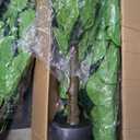 FLOWORLD Fiddle Leaf Fig Tree 6ft Tall Artificial Tree in Pot Fake Ficus Lyrata Plants with 184 Decorative Fiddle Leaves Faux Fig Trees for Home Office Living Room Decor Indoor Outdoor, 2 Pack