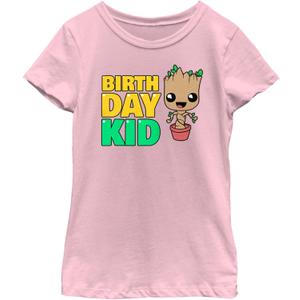 Fifth Sun Marvel Classic Guardians of The Galaxy Birthday Kid Groot Girls Short Sleeve Tee Shirt (Medium, Light Pink)