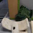 Small Cat Tree, Green Cat Tree with Scratching Post, Hammock Toy Ball and Palm Leaves for Kittens, Cat Tower for Indoor