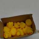50-Pieces Float & Squeak Mini Rubber Duck Baby Bath Ducky Sound Shower Toys for Kids