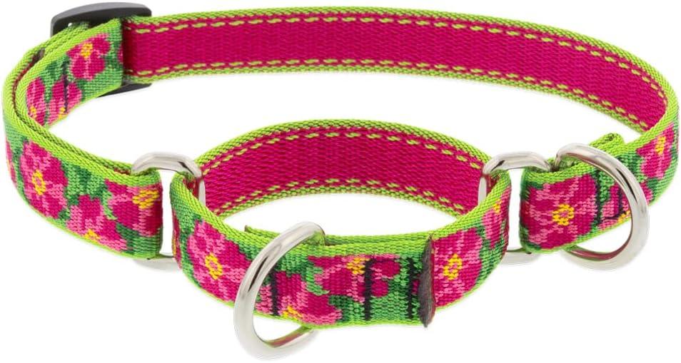 Lupine Martingale Dog Collar 3/4" Wide Petunias Adjusts from 14" to 20"