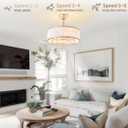 20" Caged Gold Fandelier Ceiling Fans with Lights, Boho Ceiling Fan with Light Remote Control, Mid-Century Chandelier with 6 Speeds for Bedroom,Living Room, Nursery