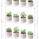 Sumerflos 4 Tier Acrylic Window Boxes Plant Shelves for Windows, Hanging Shelves for Indoor Plants, Flower Pot Organizer Storage for Window Grow Herbs, Microgreens, Succulents, Flower (Clear)
