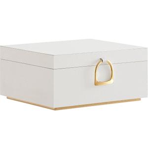 SONGMICS 2-Layer Jewelry Box, Jewelry Organizer with Handle, Removable Jewelry Tray, Jewelry Storage, Floating Effect, 8.1 x 9.4 x 4.3 Inches, Gift Idea, White UJBC165W01