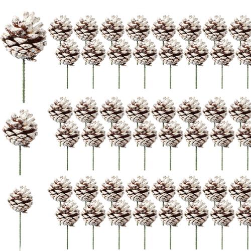 Leyndo 60 Pcs Xmas Natural Pinecones Snow Christmas Pine Cones Decorations Picks 3 Sizes Pine Cone Decor for Garland Xmas Tree Wreath Winter Holidays Ornaments Home Decorating, 3-4 in, 4-5 in, 5-6 in