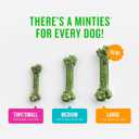Minties Dog Dental Bone Treats, Tiny/Small Dental Dog Treats, 5-25 lbs, Clean Teeth, Fight Bad Breath, Removes Plaque and Tartar, 120 Count