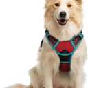 rabbitgoo Dog Harness No Pull with 2 Leash Clips, Adjustable Soft Padded, Reflective Oxford No Choke Pet Vest with Easy Control Handle for Medium Sized Dogs, Red & Teal, M