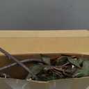 Zeyune 3 Pcs Spring White Faux Berry Stem Realistic Sedum Stem Spray Artificial Flowers Picks Branches Fake for Wedding Holiday Seasonal Farmhouse Mantel Harvest DIY Home Decorations(35 Inch)