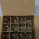 HINUAXBULB 12 Pack Scentsy Light Bulbs 15Watt 120V Wax Warmer Bulbs C7 Replacement Bulb Dimmable Salt Lamp Bulbs with E12 Base for Night Light, Candle Warmer