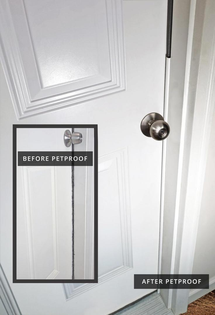 PETPROOF Cat Scratch-Resistant Weatherstrip and Door Frame Protector, 4-Pack, White