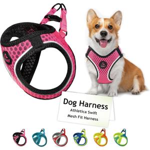 DOCO No Pull Dog Harness for Dogs | Adjustable Choke-Free Dog Vest with Breathable Air Mesh | Lightweight & Reflective for Training & Daily Walks Pink, Medium (Chest 1617 in, 1015 lbs)