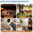 Stretchy Dog Surgery Recovery Suit with Rear Leg Sleeve to Stop Licking, Elasticity Dog Recovery Suit for Large Dogs, Lick Sleeve for Dogs Rear Leg, Surgery Suit for Dogs Female After Spayed, Gray 3XL