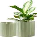 Ceramic Plant Pots, 8.1 + 6 Inch Planters for Indoor Plants, Modern Flower Pot for Plant with Drainage, Medium Cylinder Flower Pots for Indoor/Outdoor, House Plants, Matte Green