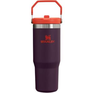Stanley IceFlow Flip Straw Tumbler with Handle 30 oz | Twist On Lid and Flip Up Straw | Leak Resistant Water Bottle | Insulated Stainless Steel |BPA-Free | Plum