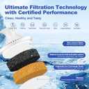 BREAUILL Water Filter Replacement Compatible with Brita Water Filter, Pitchers, Classic, OB03, Mavea,10700, 35557, Pitcher Water Filter by BREAUILL, New Upgraded Reduce TDS, Chlorine (6PCS)