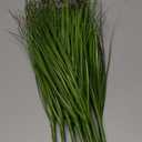 24Pcs Artificial Grass, 11.79in Fake Short Grass Artificial Shrub Plants, Simulation Dwarf Plants Faux Greenery Stems for Patio, Vase, Restaurant, Indoor Decor