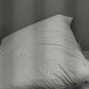 puredown Euro Pillow Inserts 26 x 26 (Pack of 2, White), Down Feather Pillow Stuffer, Premium White Pillows for Bed, Couch, and Cushion