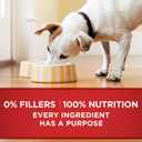 Purina ONE Natural Wet Dog Food Gravy, Tender Cuts in Gravy Beef and Barley Entre - 13 Ounce (Pack of 12)