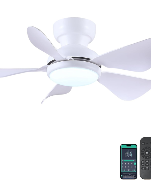 32 Inch Modern Ceiling Fans with Lights, Small Flush Mount Ceiling Fan with Light