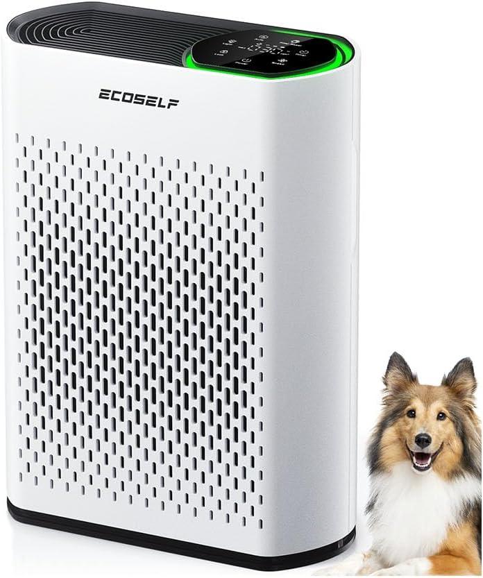 Air Purifier for Home Large Living Rooms & Open Spaces, HEPA Filter, Quiet Sleep Mode Removes Dust, Smoke & Pet Dander
